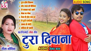 Seema Kaushik | Cg Song | Tura Diwana | Audio Jukebox | New Chhatttisgarhi Gana | AVM STUDIO RAIPUR