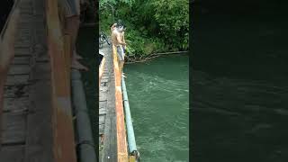 Viral Artis Mandi Sungai Palembang