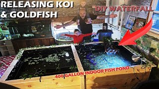 RELEASING FISH INTO INDOOR KOI POND + DIY WATERFALL by HOUSE BILLINGS 5,206 views 3 years ago 11 minutes, 30 seconds