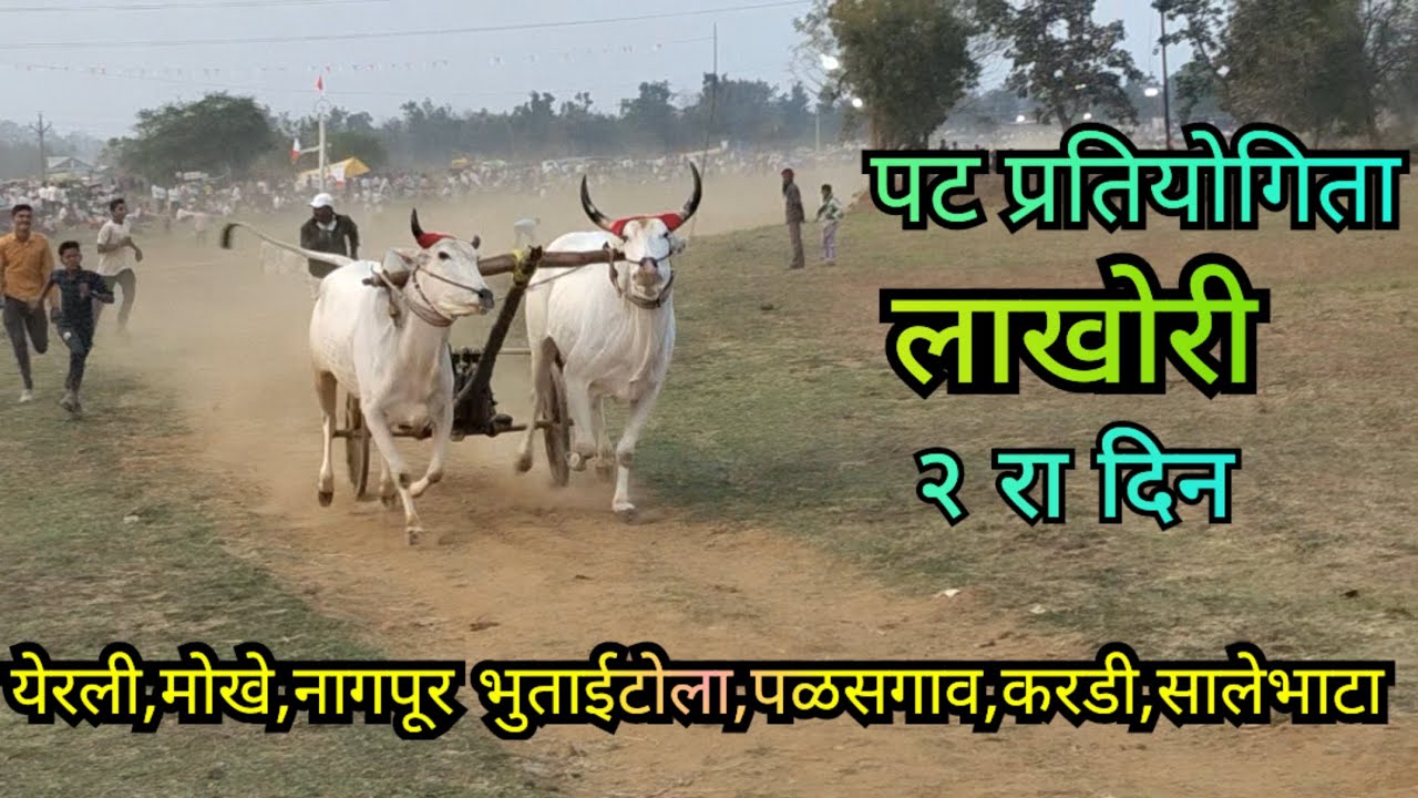 पट प्रतियोगिता लाखोरी १ ला दिन||सेकंद पॉईंट😱||#bailgadasharyat #dailyvlog #bailgada 