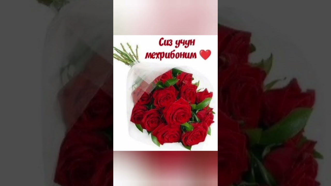 SARAXON OPAGA TUG'ILGAN KUN TABRIGI+998990514305