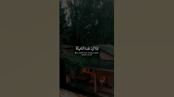 سورة الفرقان - القارئ محمد هشام قرآن كريم حالات واتس اب دينية 📖