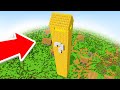 LA CASA MAS LARGA DE LUCKY BLOCK EN MINECRAFT 😱 Invictor y Mayo