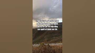 Tuyệt đối không được bỏ qua 9 câu nói này của tôi kẻo hối hận  #modung  #kinhdoanh #kinhdoanhspa