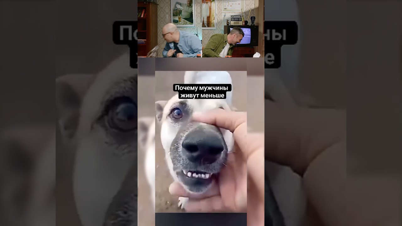 ПОПРОБУЙ НЕ ЗАСМЕЯТЬСЯ! 🤣😅 