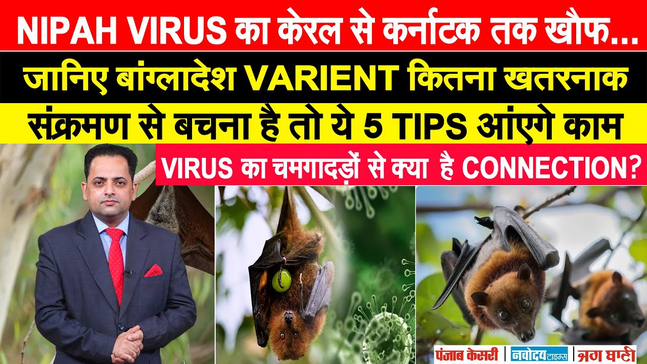 NIPAH VIRUS का चमगादड़ों से क्या है CONNECTION? VIRUS से बचना है तो ये हैं 5 TIPS