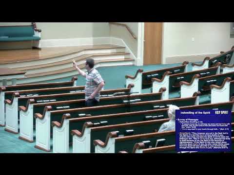 Video preview