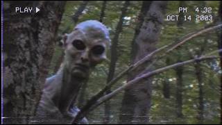 The Hiker Footage That Proves Cryptids Exist