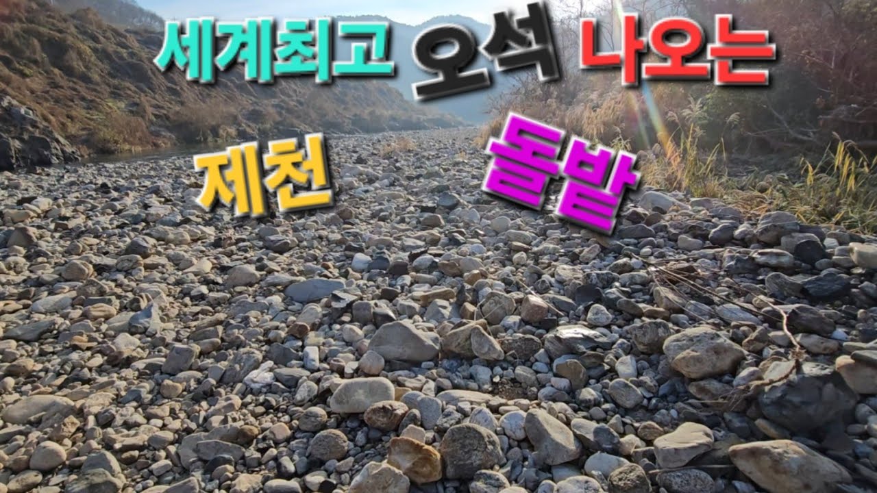 수석탐석 세계 최고의 오석나오는 제천강 돌 밭 공개 합니다 - YouTube
