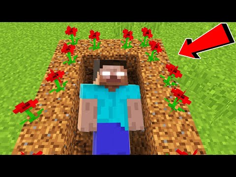 Herobrine - ის საფლავი ვიპოვეთ ტყეში 😱 - Minecraft qartulad