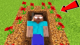 Herobrine - ის საფლავი ვიპოვეთ ტყეში 😱 - Minecraft qartulad