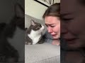 Fake crying to see if my cat loves me, I guess not 😅 #cats #funnycat #fakecrying #catsoftube