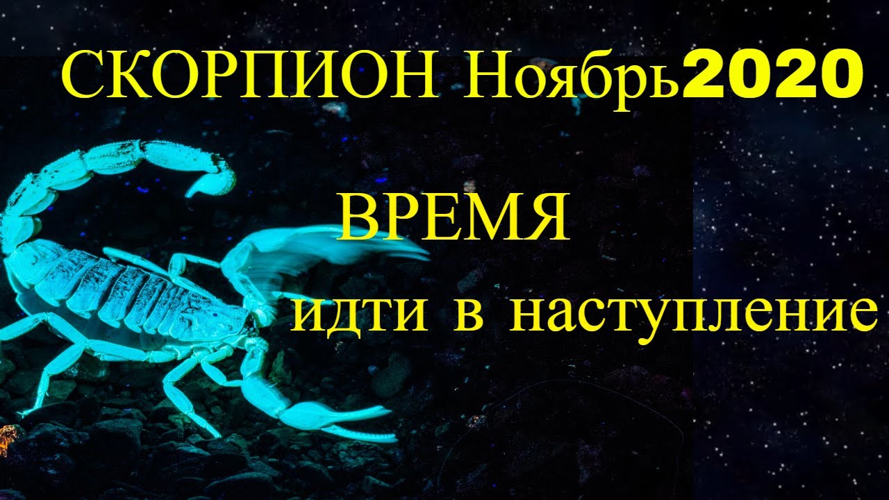 Совместимость ноябрьского скорпиона. Ноябрь Скорпион. Скорпион даты. Ноябрьский Скорпион. Скорпион месяц.