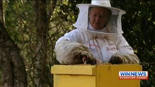 Bee Keeping Adopt A Beehive
