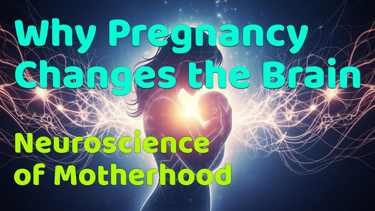 Why Pregnancy Changes the Brain: Neuroscience of Motherhood - YouTube
