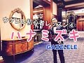 ウクレレ初心者レッスン④「ハナミズキ」をたった5つの簡単コードで!【コード付】