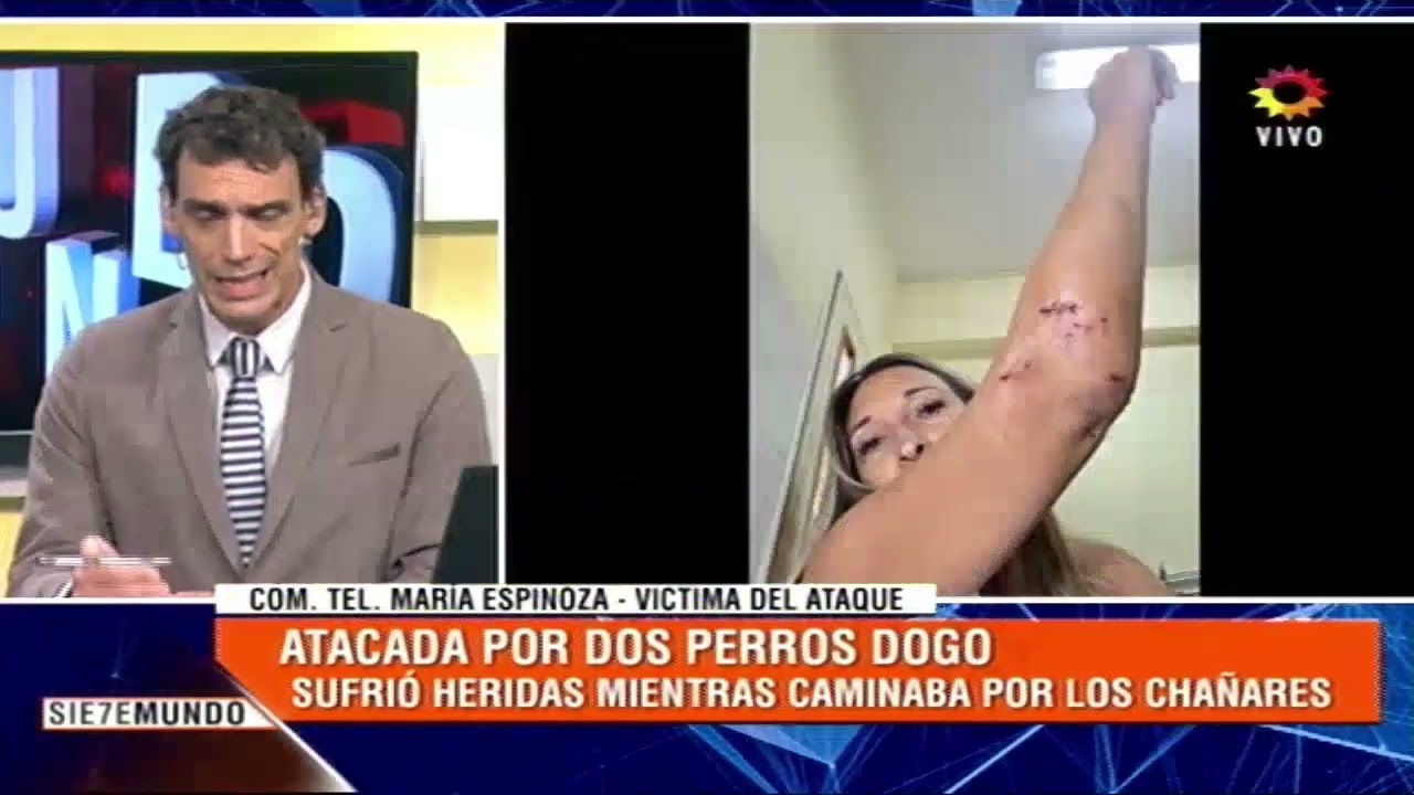 Atacada por dogos en Los Chañares