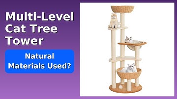 REVIEW (2025): Multi-Level Cat Tree Tower. ESSENTIAL details.