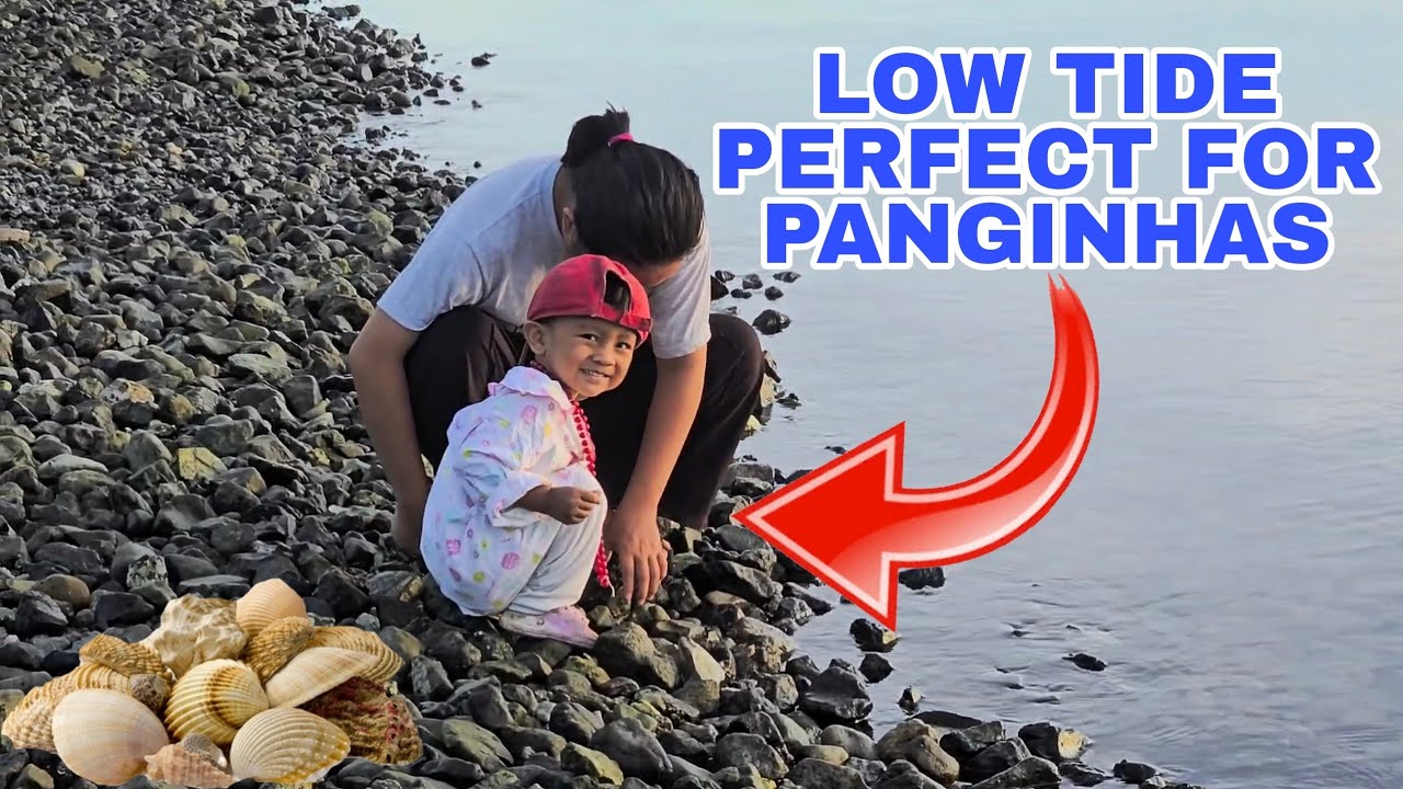 A PERFECT TIME TO GATHER SHELLS - YouTube