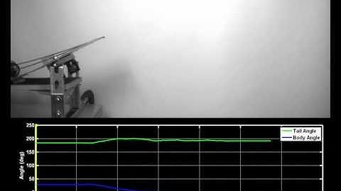 Leaping lizards Movie 3