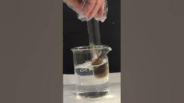 Prettiest Chemical Test | Tollens