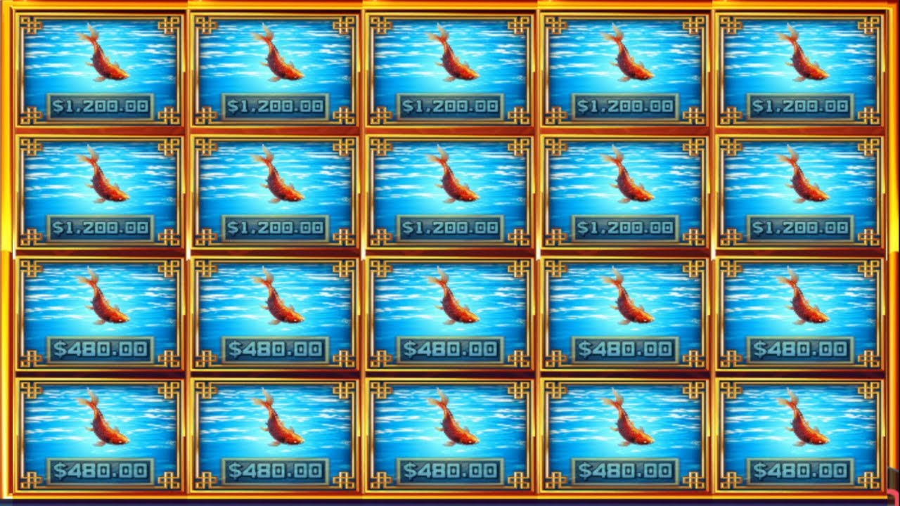 Samurai Code WON 80,000