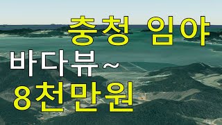 8천만원 충청도싼임야 바다뷰~ 남향 자연인 전원생활 숲야영장+캠핑고기집+캠핑교회+힐링숲6차산업 숲카페 숲팬션 약용재배 방목 임업직불금 땅과함께(새희망을)경매임야 공매임야 나도땅주인