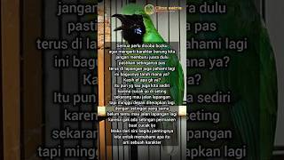 cara mencari karakter burung cucak ijo #shorts