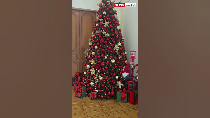 ԱԺ «լափած» տոնածառը` Սիմոնյանի և Տարոն Մարգարյանի օգնականի վեճի առարկան