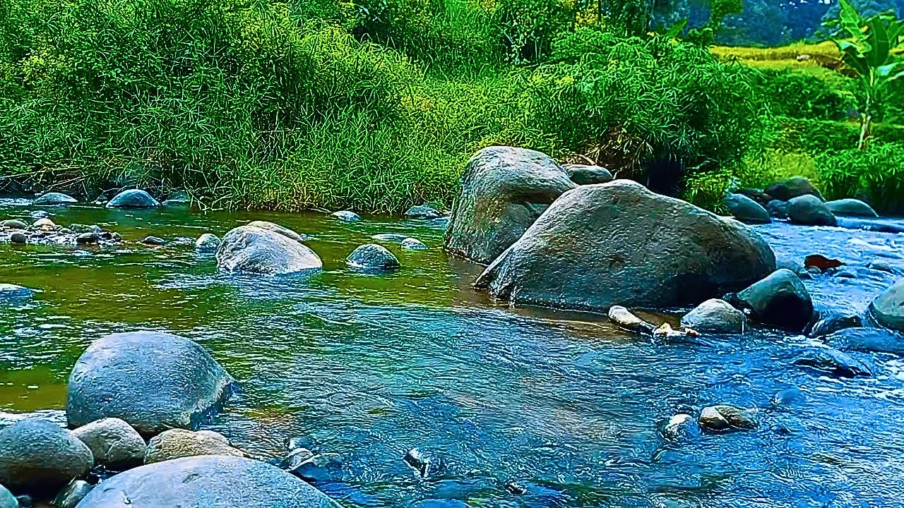 RELAXING SOUNDS FOR SLEEPING | BEAUTIFUL FOREST STREAM AMBIENCE FOR DEEP SLEEP & INNER PEACE