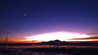 calling feat. Lily