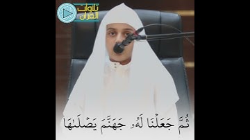 ترتيل بديع😴✨ | للقارئ علي عبدالسلام | #تلاوات_القرآن