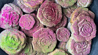 Gym Chalk Rose With Holy Powder M Crush Oddly Satisfying Asmr Please Subscribe