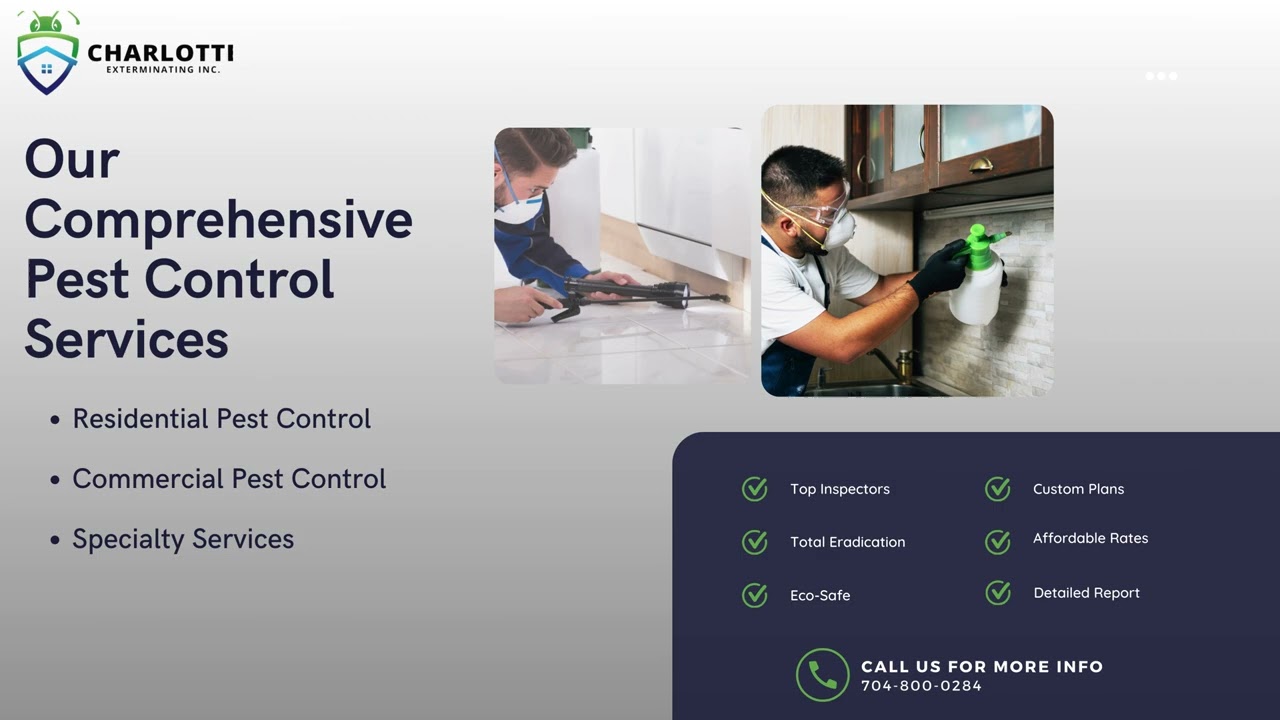 Top-Rated Pest Control in Charlotte | Charlotte Exterminating Inc