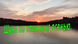 Корочанское водохранилище, щука осенью