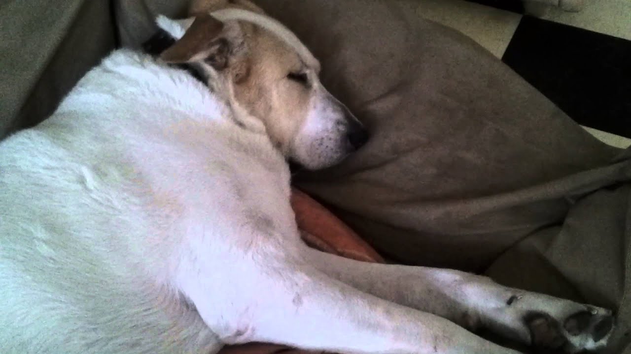 Howard aan het snurken