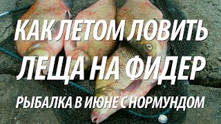 ЛЕТНЯЯ ФИДЕРНАЯ ЛОВЛЯ ЛЕЩА. РЫБАЛКА В ИЮНЕ НА ФИДЕР С НОРМУНДОМ ГРАБОВСКИСОМ