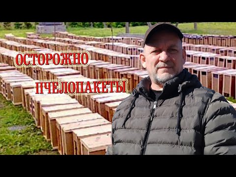 Осторожно Пчелопакеты! Как не вляпайтесь в неприятности.