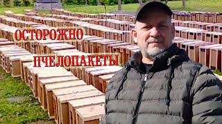 Осторожно Пчелопакеты! Как не вляпайтесь в неприятности.