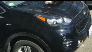 Thieves using USB cables to steal Hyundai, Kia vehicles