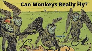 Real Life Flying Monkeys - STEM in 30