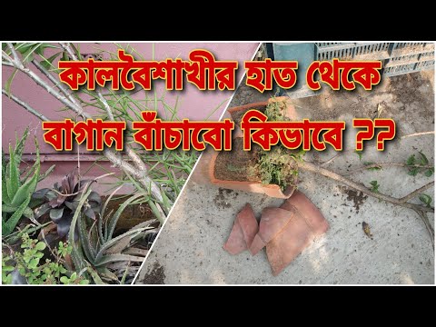 ভিডিও: কিভাবে একটি বাগান অংশীদারিত্ব ছেড়ে