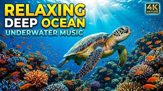 Ocean Drift Glow 🌊 • Soothing Relaxation Music for Sleep 😴 • Gentle Wave Harmony ✨