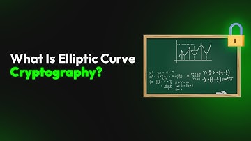 What Is Elliptic Curve Cryptography?