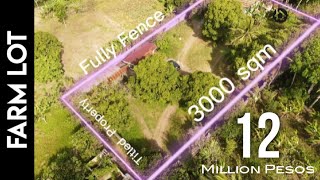 Farm LOT Tour 732 Near Pink Sister in Tagaytay City | Amadeo Cavite Fully Fence Property with Trees