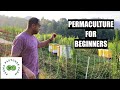 Permaculture For Beginners!