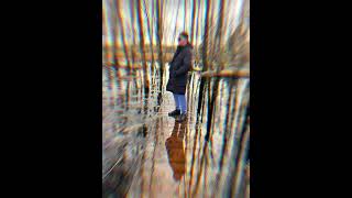 mėnuo kyla saulė leidžias