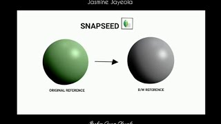 How to change your reference picture to Black and White using Snapseed screenshot 5