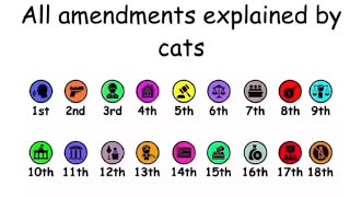 What are amendments ? All amendments explained by cats