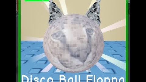 how to get disco floppa in find the floppa morphs roblox